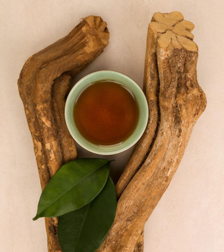 Ayahuasca vine root with a leaf and a cup containing ceremonial brew, displayed in natural light